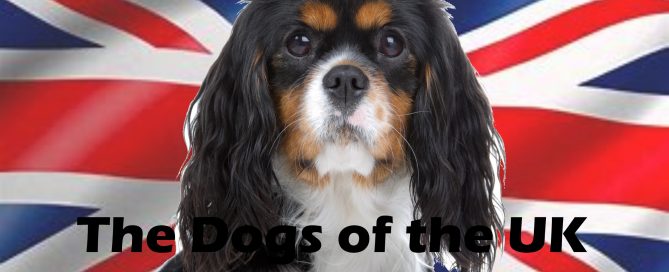 Dogs of the UK